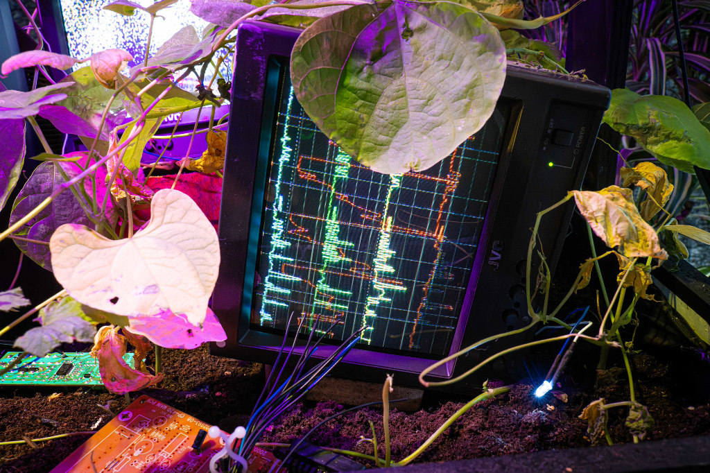 Plants and technology